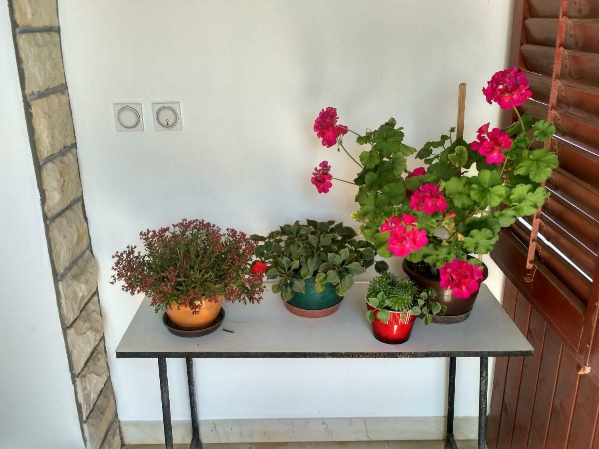Tonica Apartment *